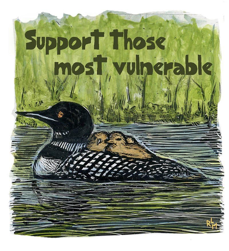 Duck says: Support those most vulnerable